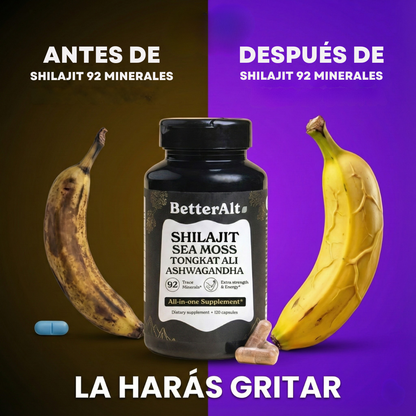 Shilajit Premium del Himalaya - 92 MINERALES